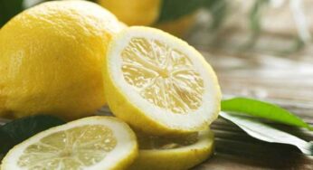Закуски до коньяку, чим краще закушувати і пити коньяк