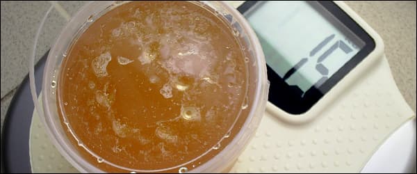 Скільки меду в 3-літровій банці, вага та обсяг меду